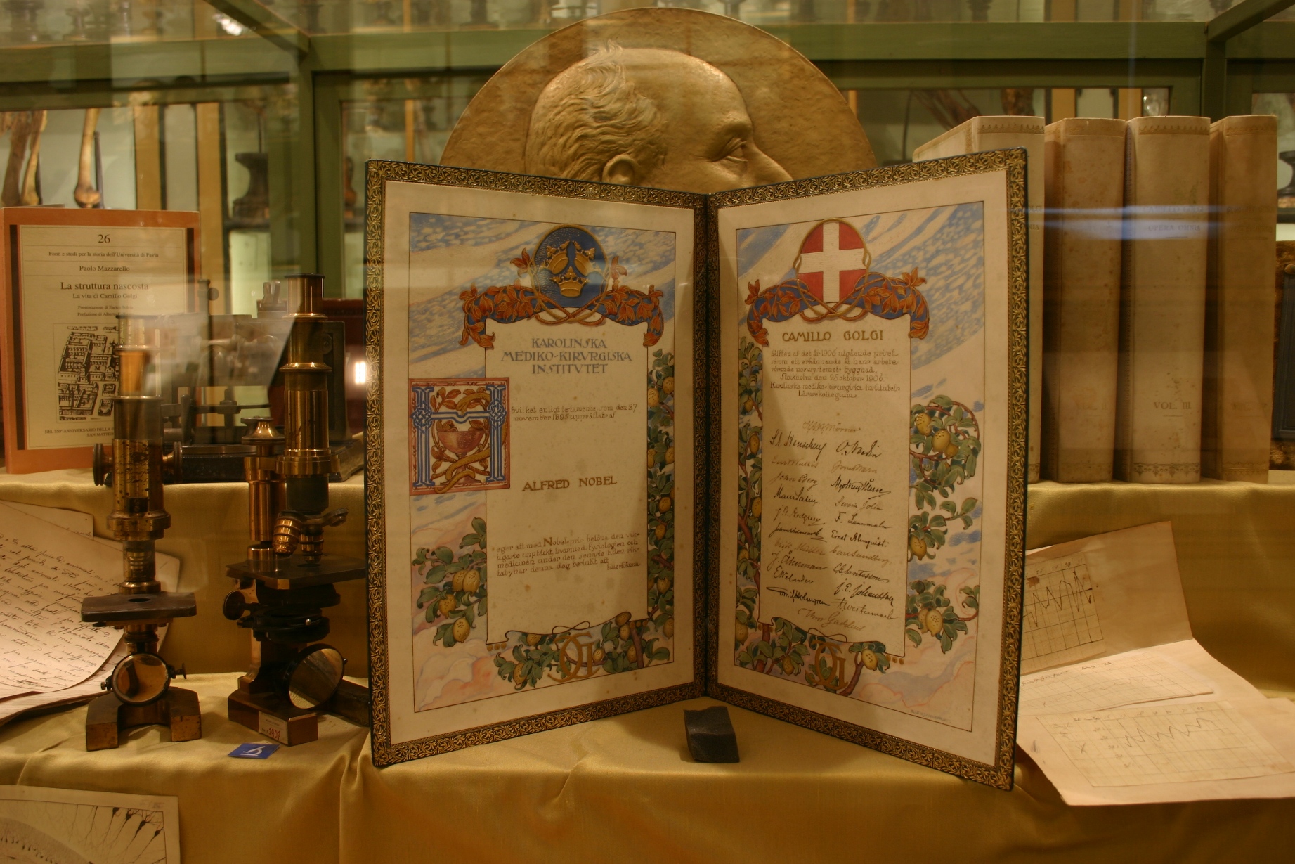 Camillo Golgi's memorabilia, Museo per la Storia dell'Università, Pavia - 05.JPG